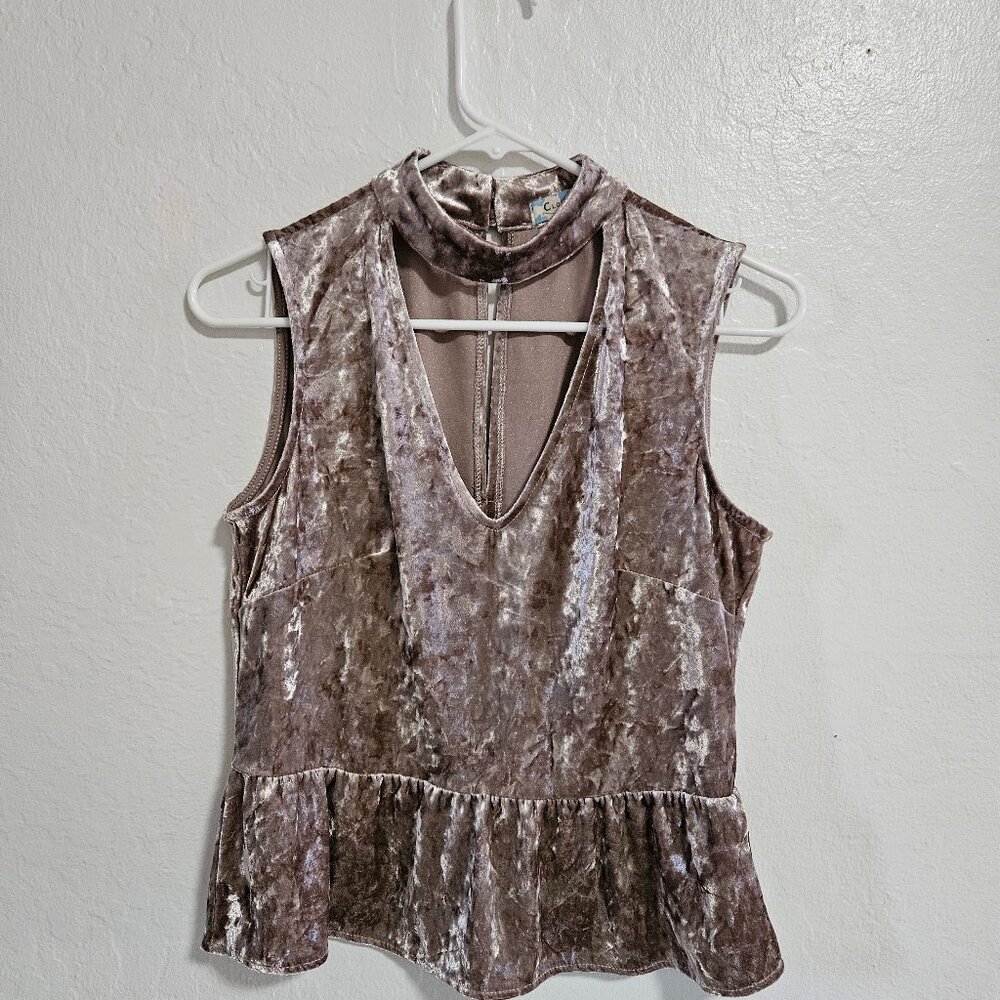 Cloud & Sky Crushed Velvet Top